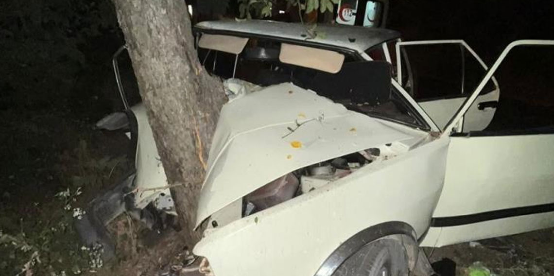 Sinop'ta virajı alamayan otomobil ağaca çarptı: 2 yaralı