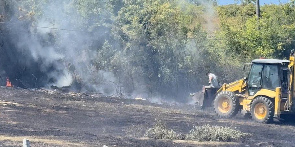 Anız yangını ormana sıçramadan söndürüldü