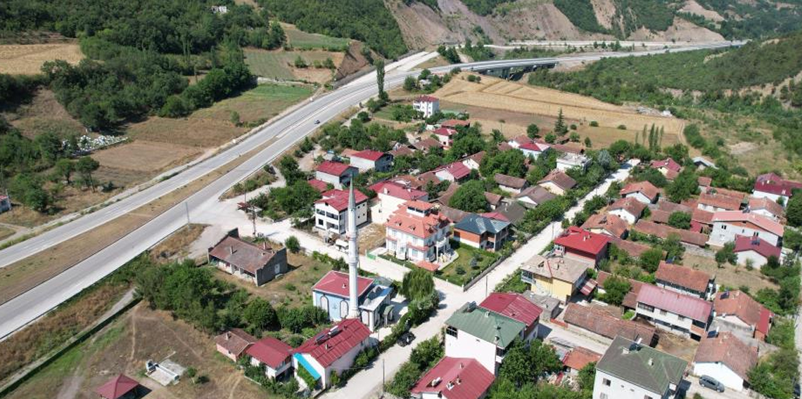 İmamın girişimiyle cami adeta çiçek serasına dönüştü