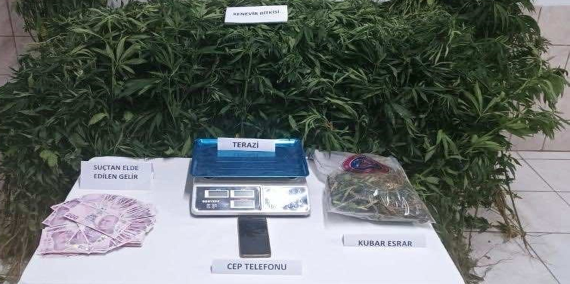 Sinop'ta uyuşturucu operasyonu: 1 tutuklama