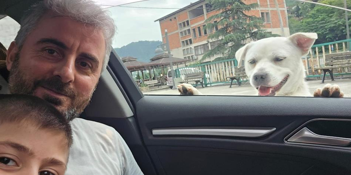 Esnafın peşinden ayrılmayan pitbull görünümlü köpek sosyal medyada gündem oldu