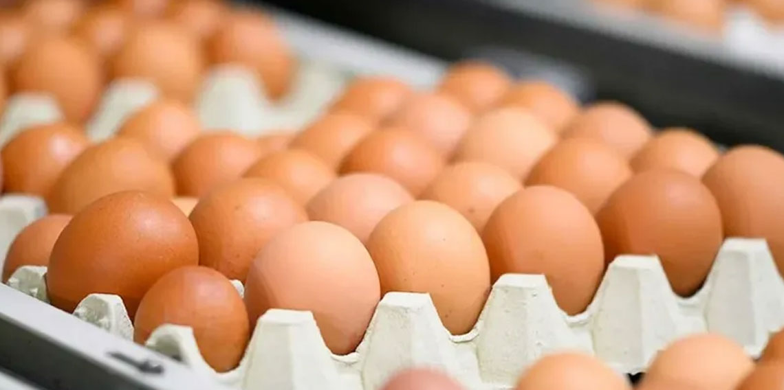 Yumurta satışında yeni dönem: Birçok düzenleme yapıldı