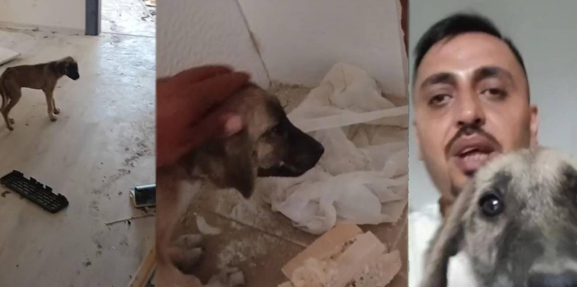 Köpek İçin Canını Hiçe Saydı