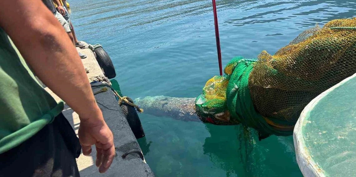 İzmir Karaburun’da balıkçı ağına denizaltı torpidosu takıldı