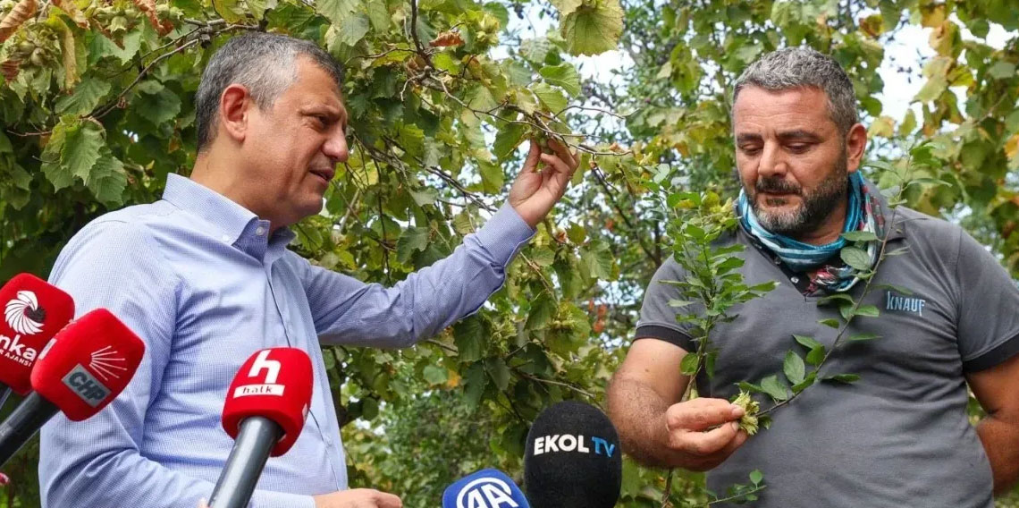 CHP’den fındık bahçelerine ziyaret! “Fındık alım fiyatı en az 250 TL olmalı”