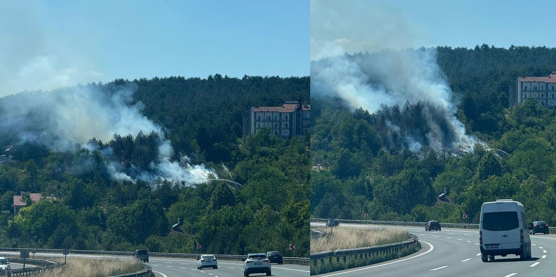 Bolu’da çıkan orman yangını büyümeden söndürüldü