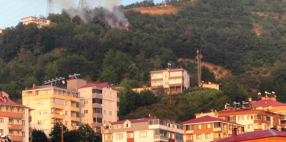 Trabzon’da Korkutan Orman Yangını
