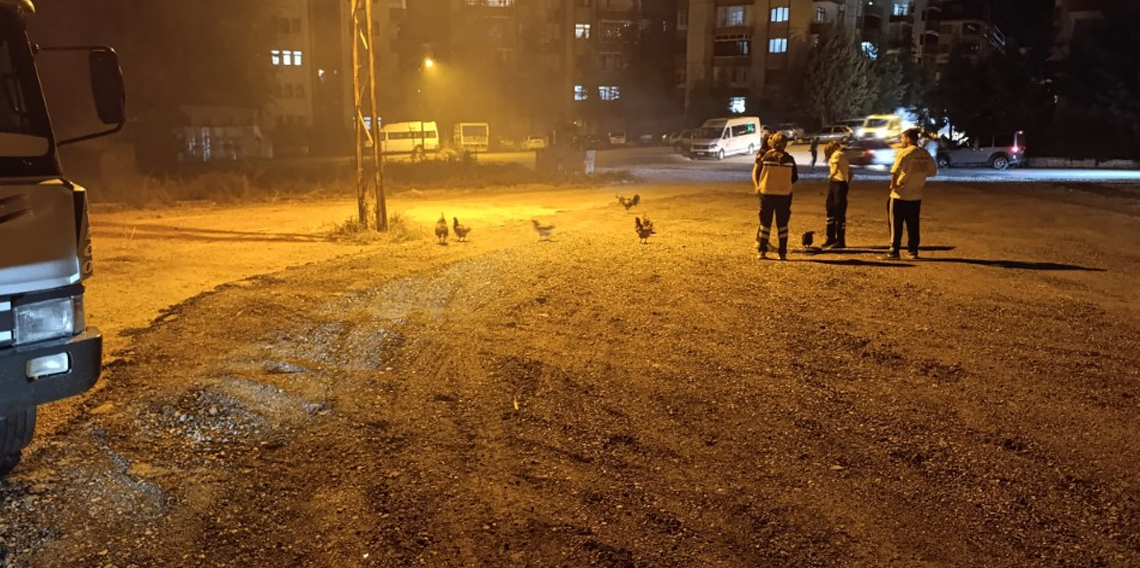 Beypazarı’nda kümes yangını: 41 tavuk telef oldu