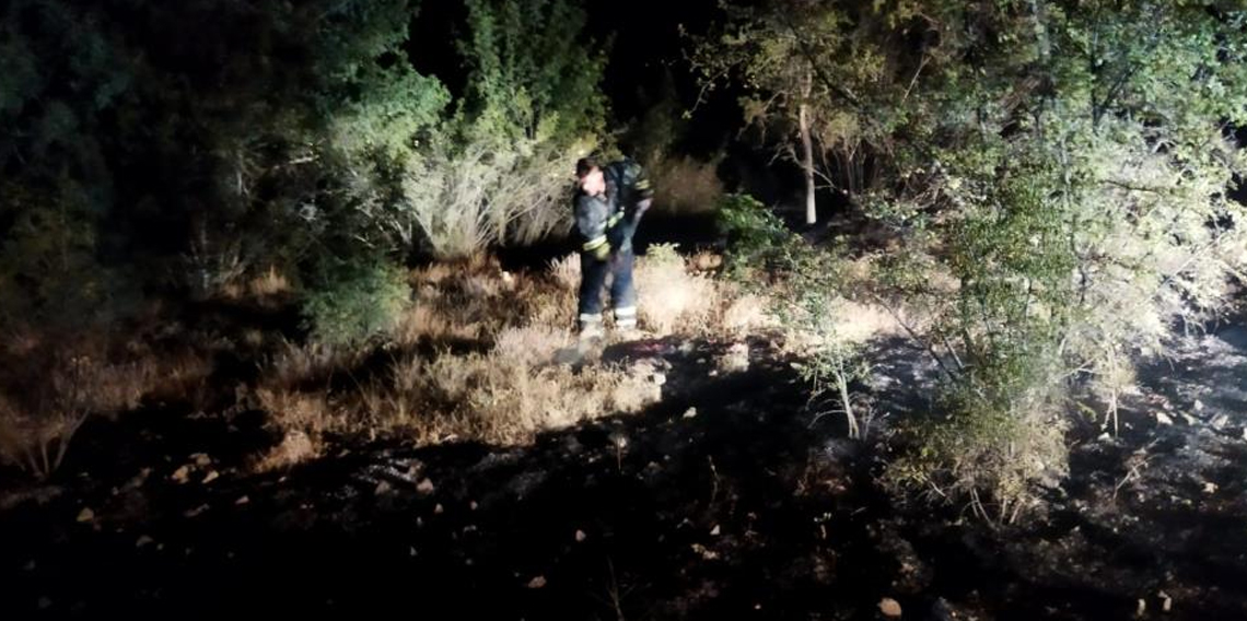 Ekipler seferber oldu, örtü yangını ormana sıçramadan söndürüldü