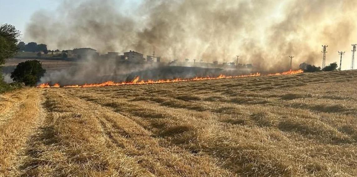 Samsun'da korkutan anız yangını