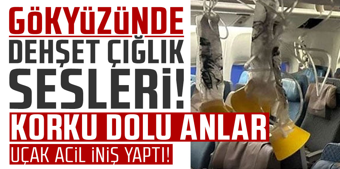 Gökyüzünde dehşet çığlık sesleri uçağı inletti. Korku dolu anlar