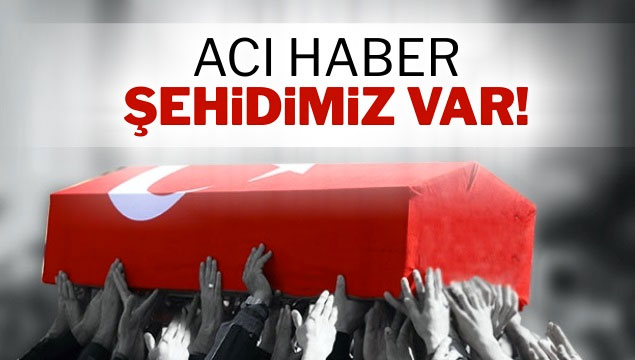 MSB: Edirne’de meydana gelen araç kazasında 1 asker şehit oldu