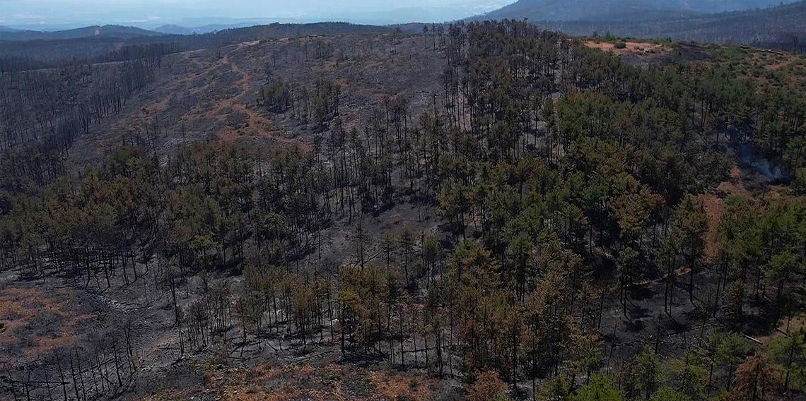 Bursa’da havai fişek atanlara ders gibi ceza