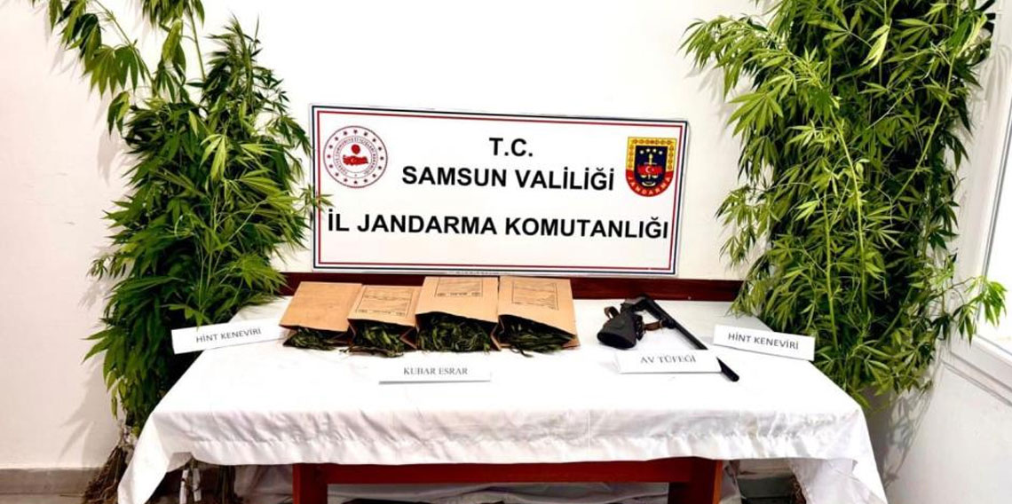Samsun'da jandarma kubar esrar ve kenevir ele geçirdi