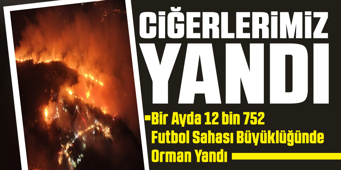 Bir Ayda 90 Bin Hektar Orman Kül Oldu