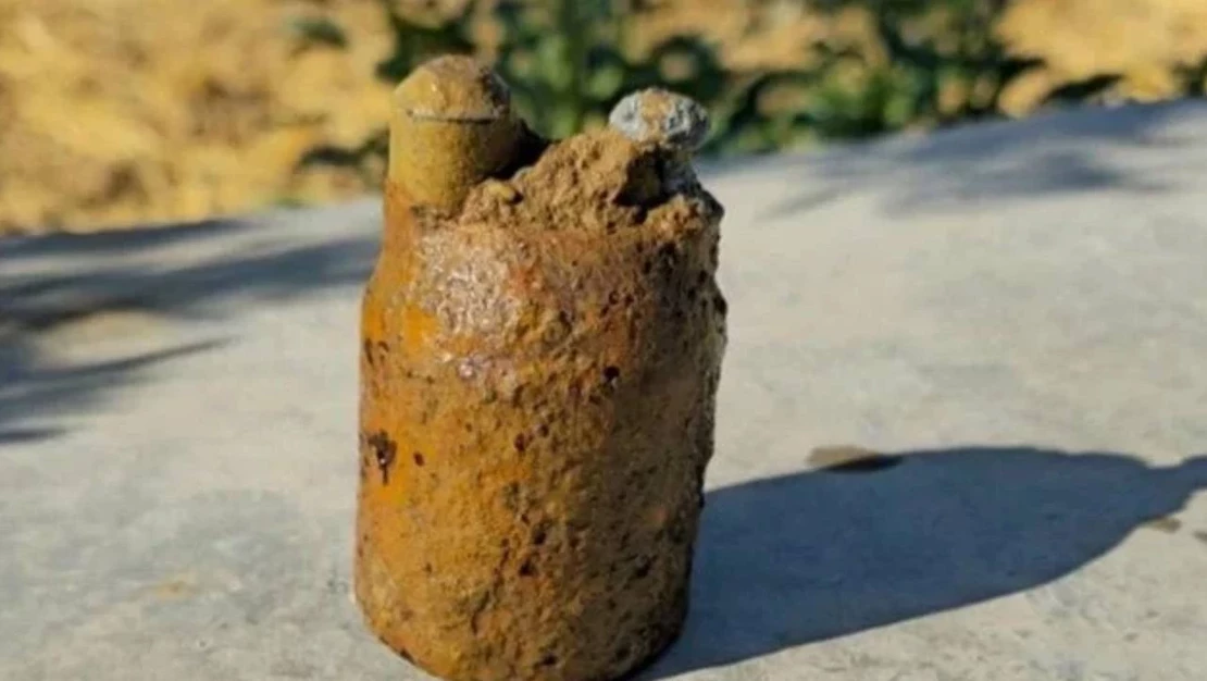 Zeytin bahçesini sularken ölümden döndü