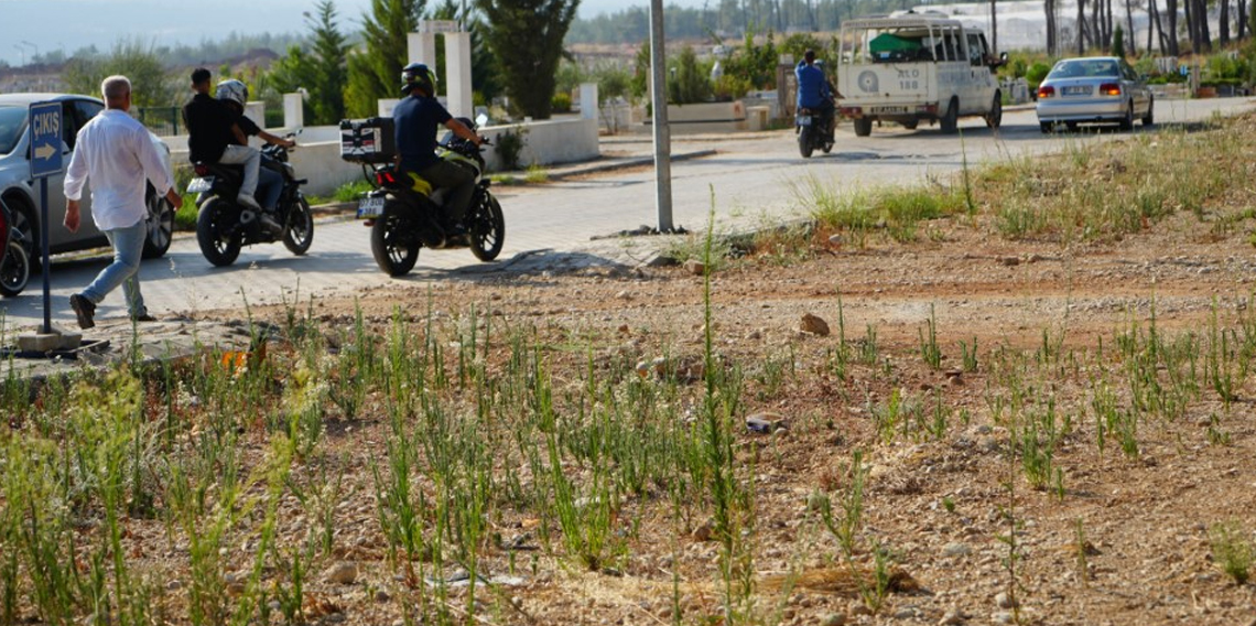 Tek teker aşk ’tek’ bıraktı, genç kadının feryatları yürekleri yaktı