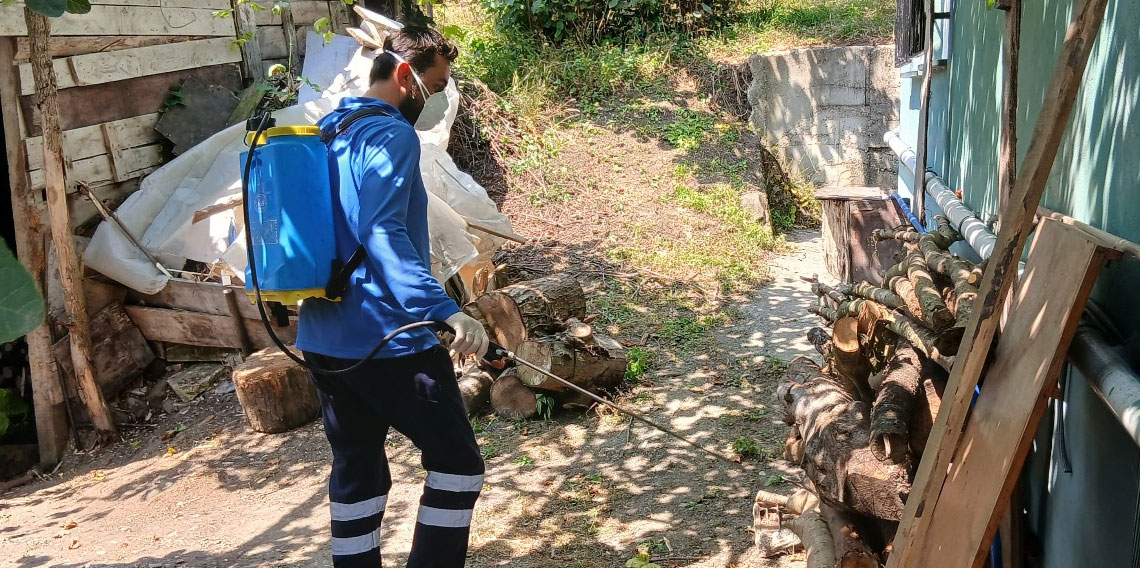 Trabzon'da Vektör Seferberliği