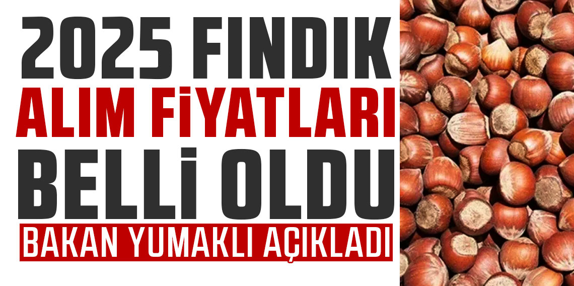 2025 fındık alım fiyatları belli oldu