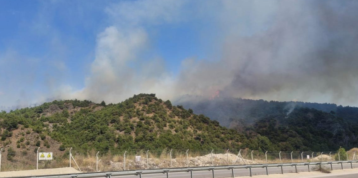 Tokat'ta orman yangını başladı