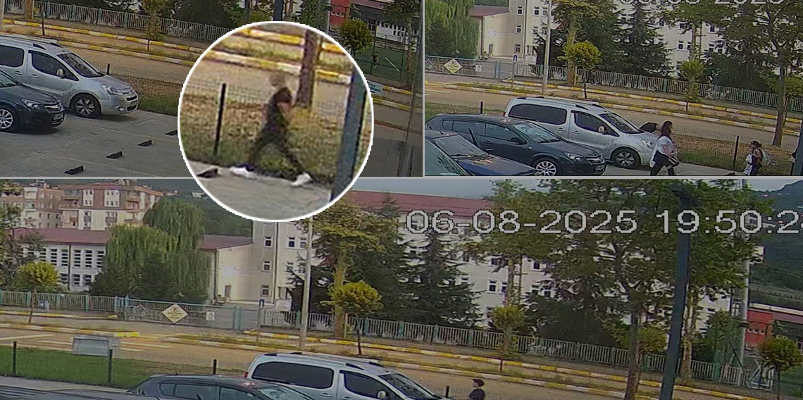 Beşikdağ Teleferik Hakkında Yanıltıcı İddialara Yalanlama