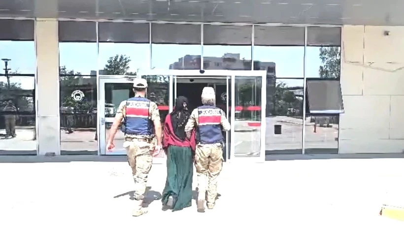 Şanlıurfa’da su bidonunda tabanca, saksılarda kenevir ele geçirildi; 7 gözaltı
