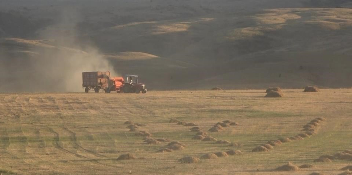 Bayburt’un Çayırköprü köyünde 194 balya ot çalındı