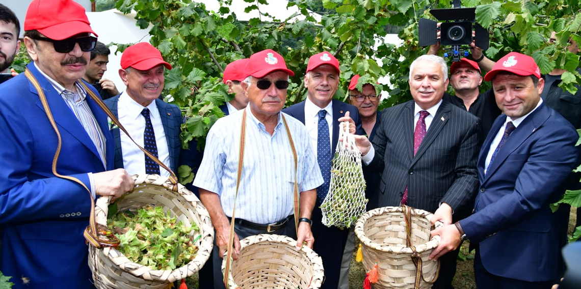Dünya Fındık Hasadı Programının Üçüncüsü Yomra’da Gerçekleştirildi