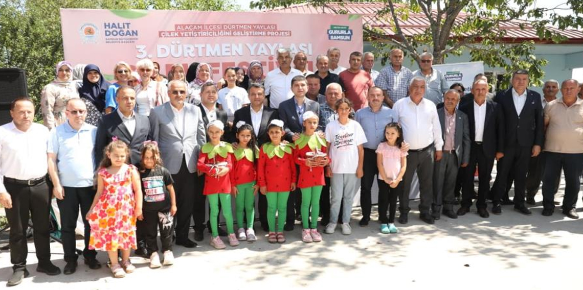 Samsun’da çileğin kalbi Dürtmen Yaylası'nda attı