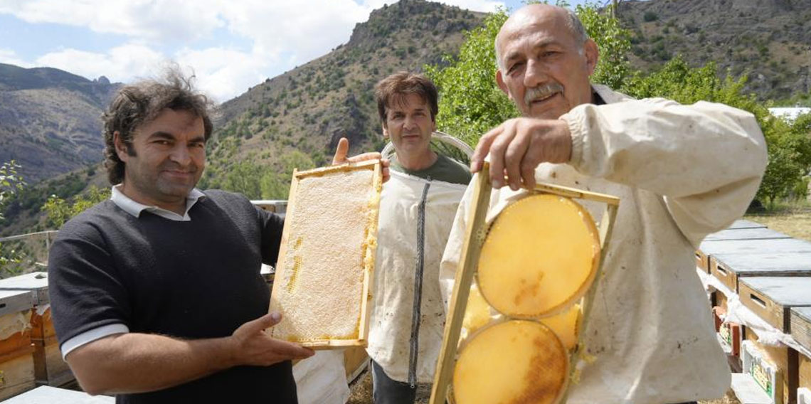 Gümüşhane'de 2025 yılı bal hasadı üreticilerin yüzünü güldürdü