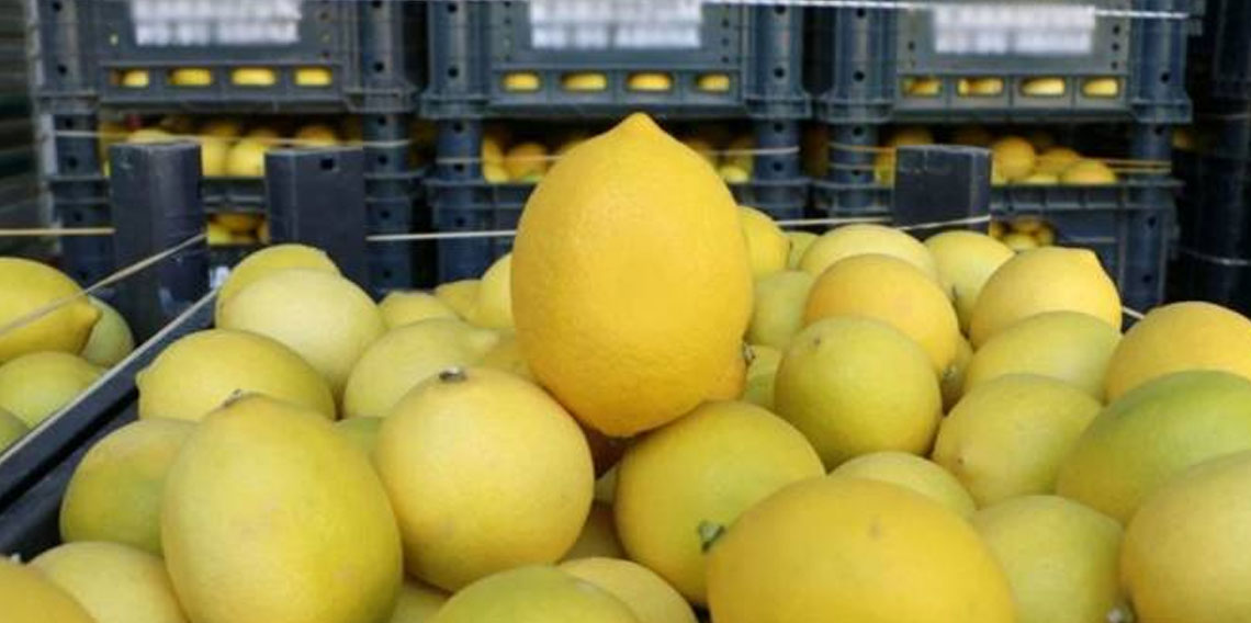 Limonun tanesi 25 TL oldu! Üzerine sıkılan sodanın fiyatını geçti