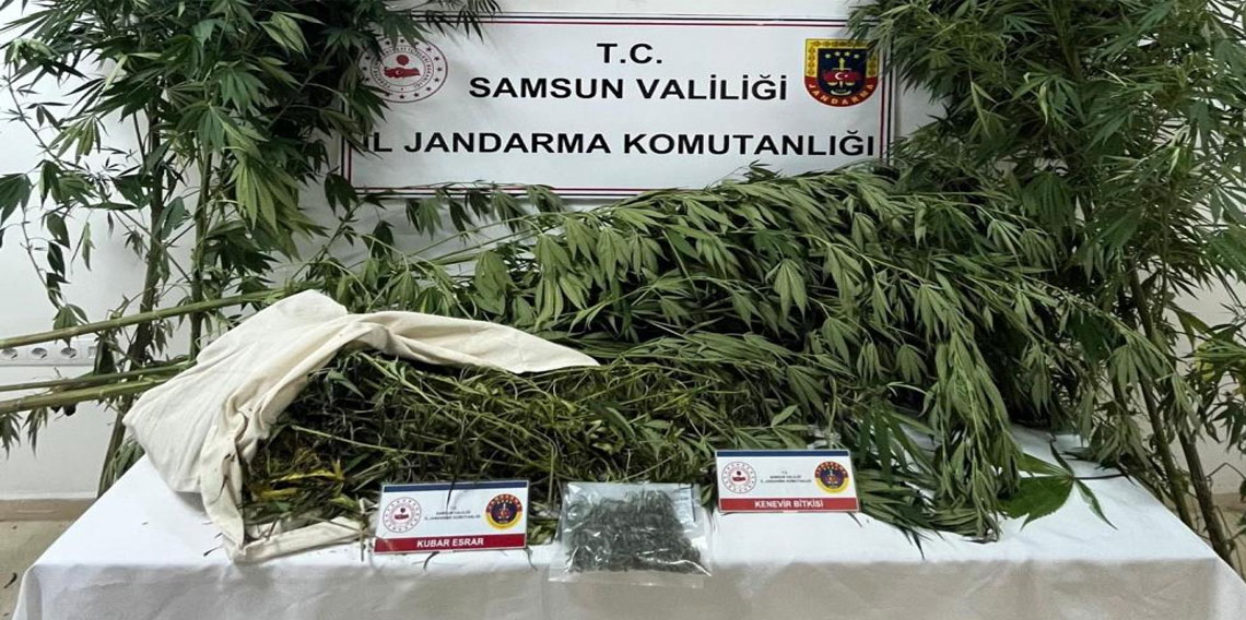 Samsun'da jandarma kenevir ve kubar esrar ele geçirdi