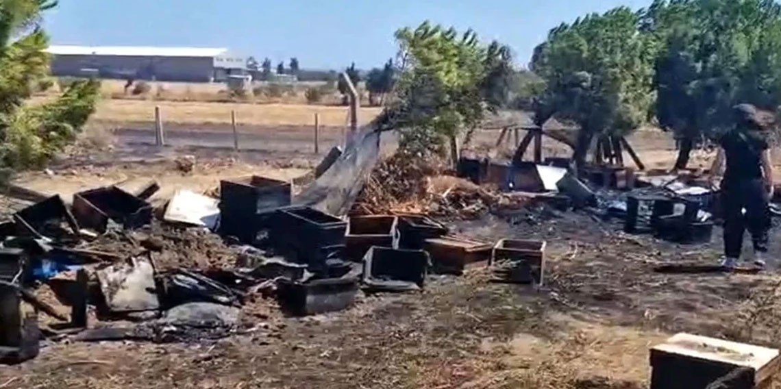 Tekirdağ'daki yangında arı kovanları zarar gördü