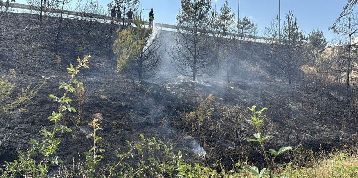 Bolu’da gişelerin girişinde otluk alanda yangın
