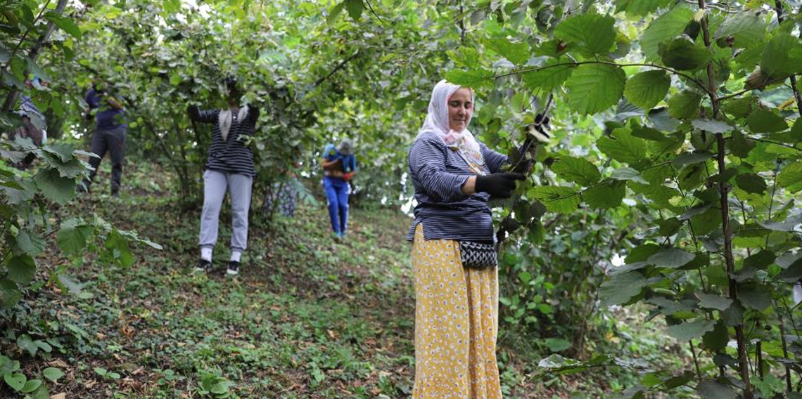 ‘Fındık Dalda, Aklın İşçide Kalmasın' projesi
