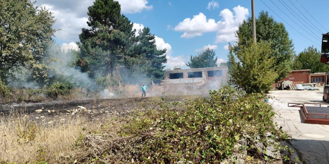 Bolu'da ot yangını büyümeden söndürüldü