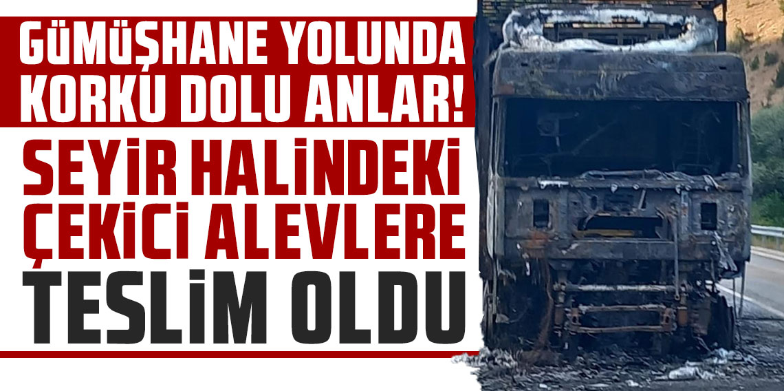 Seyir halindeki çekici alevlere teslim oldu