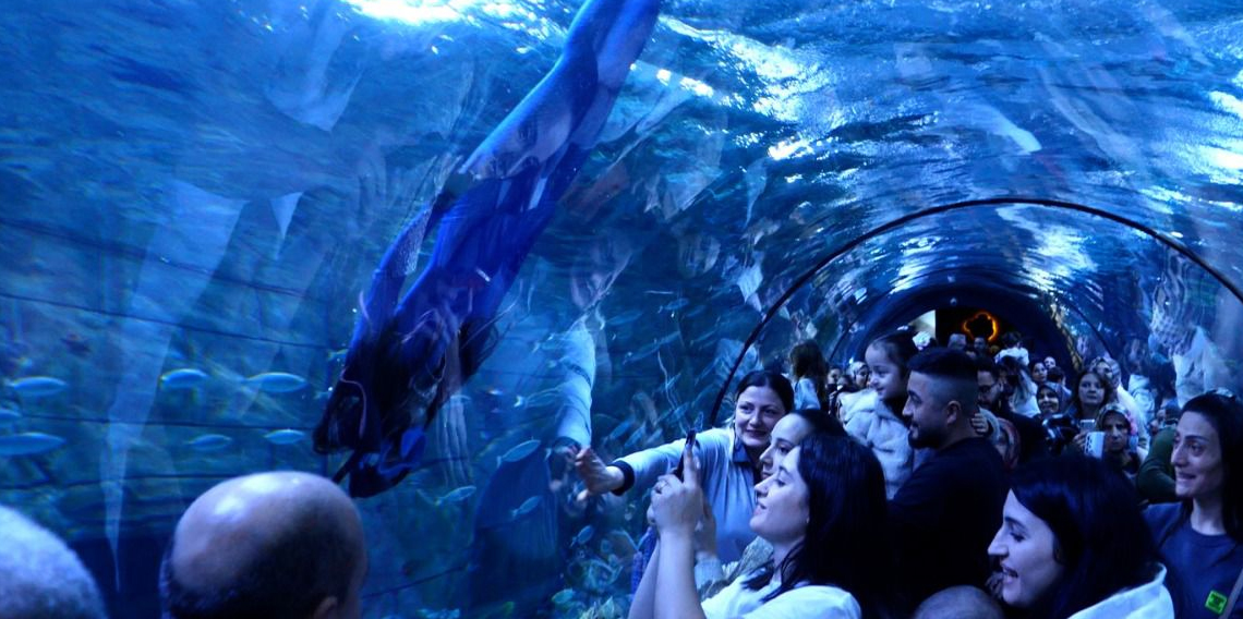 Trabzon Akvaryum’daki 'deniz kızı' gösterisi düzenlenecek