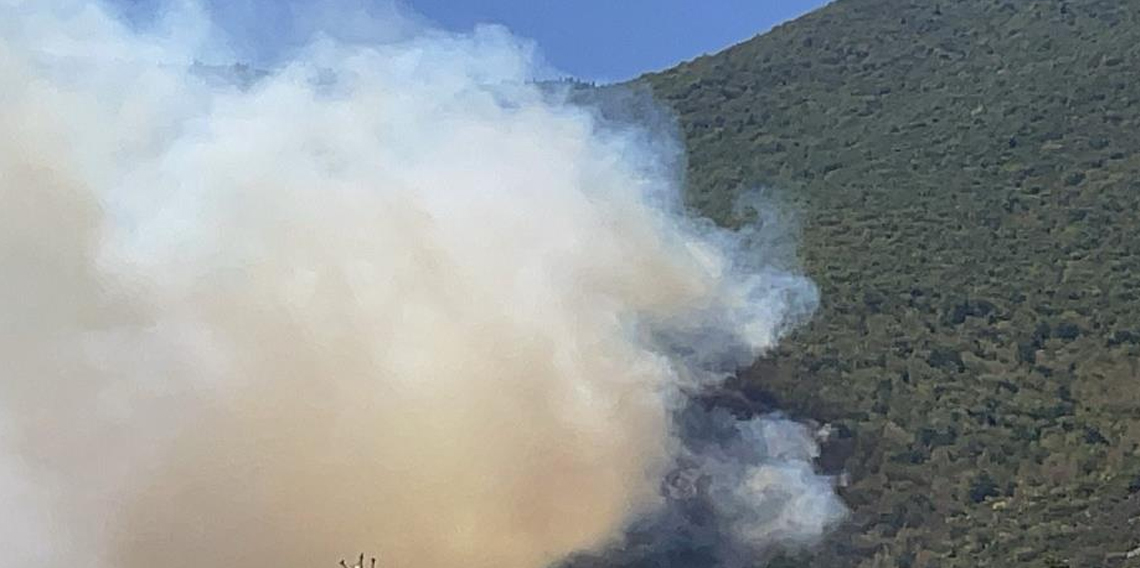 Bartın'da orman yangını çıktı