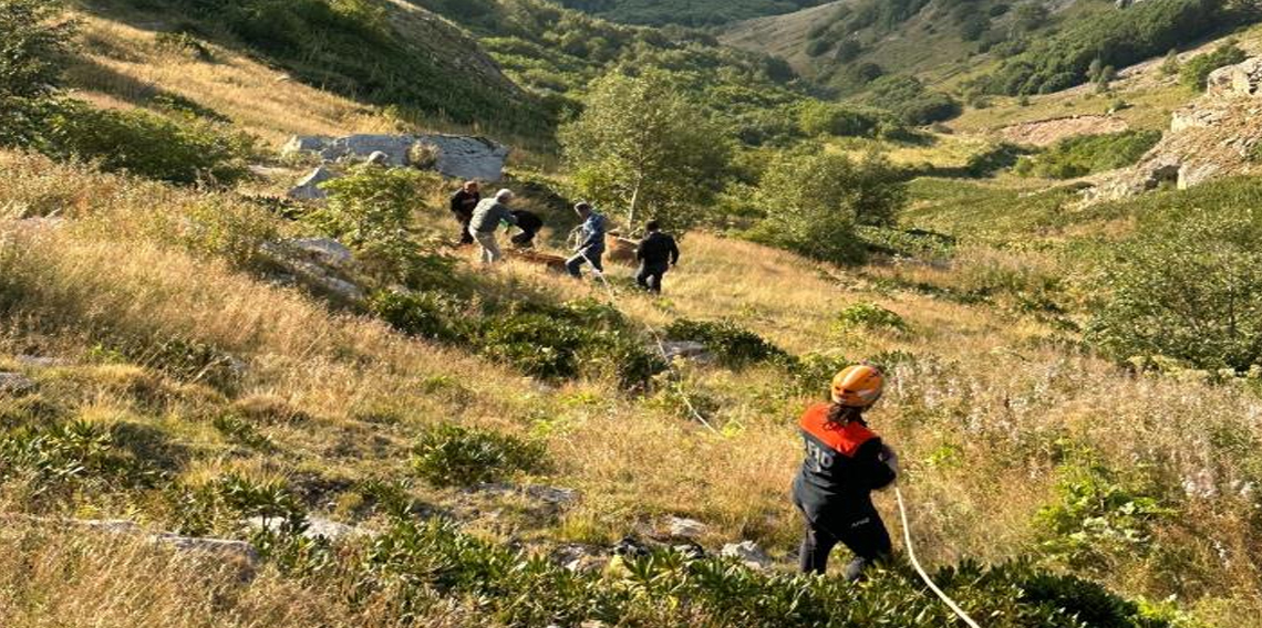 Yamaçtan düşerek mahsur kalan inek AFAD ekiplerince kurtarıldı
