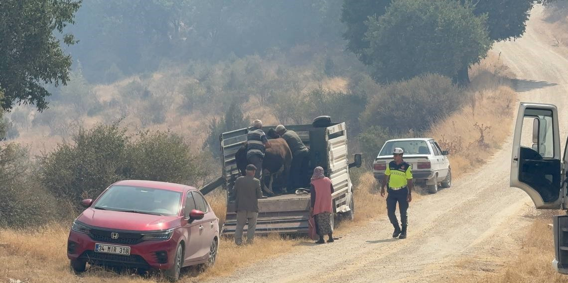 Karabük’te çıkan orman yangını Kastamonu’ya sıçradı: Alevlerin yaklaştığı köy tahliye edildi