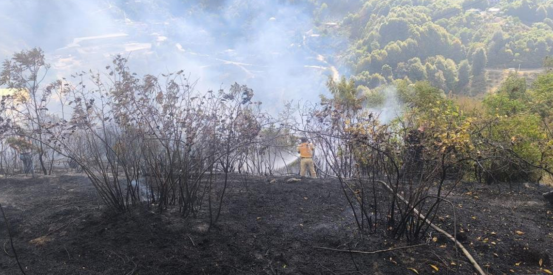 Zonguldak'ta 2 dekarlık alanda örtü yangını
