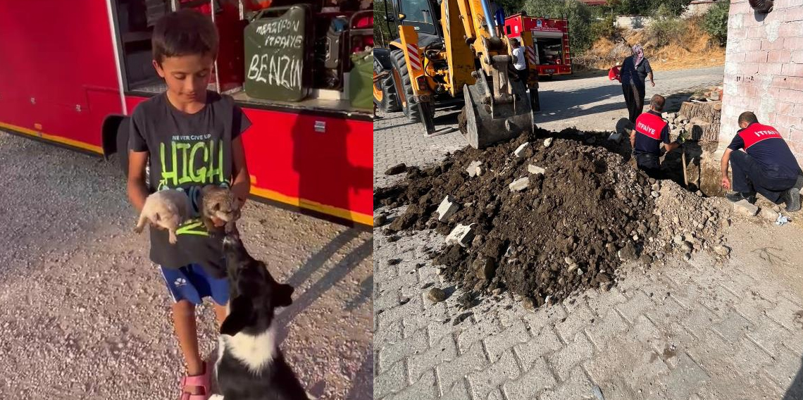 Çocuklar ihbar etti, atık su borusuna sıkışan yavru köpekler kurtarıldı