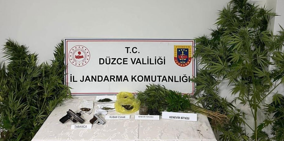 Düzce'de uyuşturucu operasyonunda 1 tutuklama