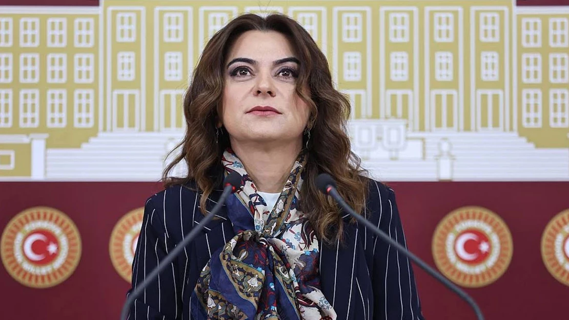 Gülistan Koçyiğit: Komisyon bir an önce İmralı'ya gitmeli