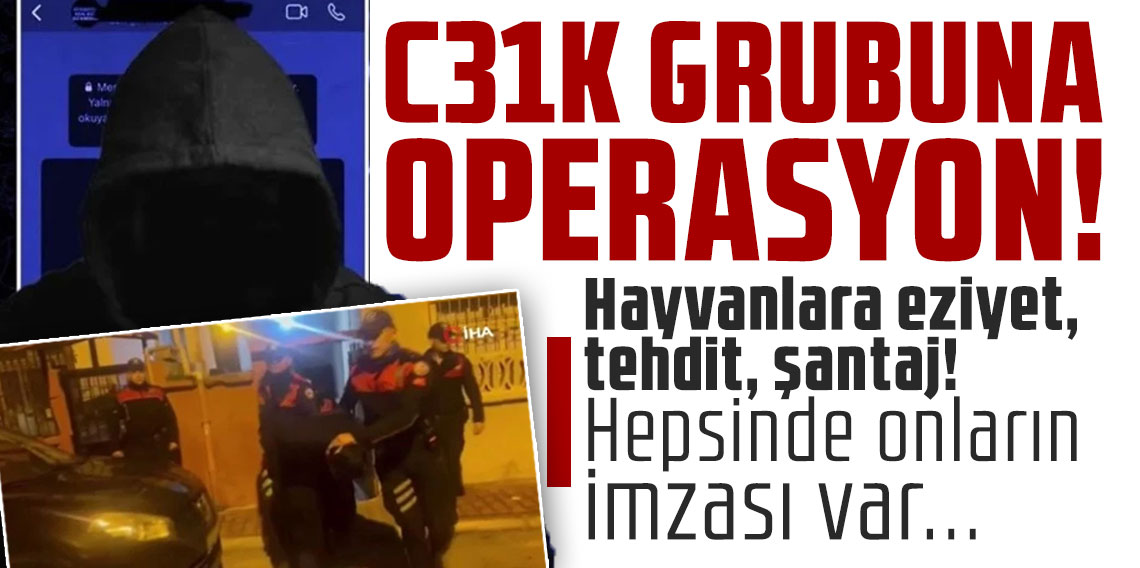 Hayvanlara eziyet, tehdit, şantaj! Hepsinde onların imzası var... C31K grubuna operasyon