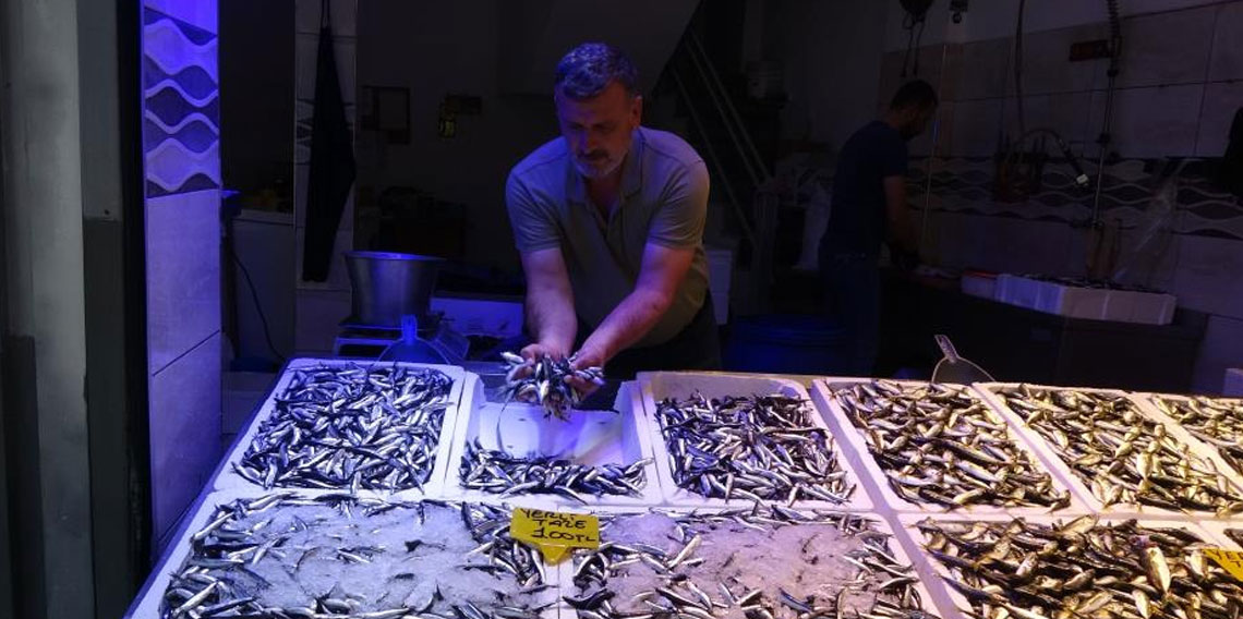 Karadeniz'de avı bollaştı, hamsi fiyatı 100 TL'ye düştü
