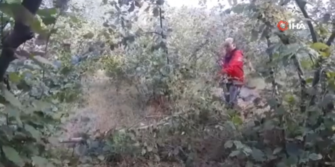 Ayının saldırısına uğrayan çiftçi dehşet anlarını anlattı: 