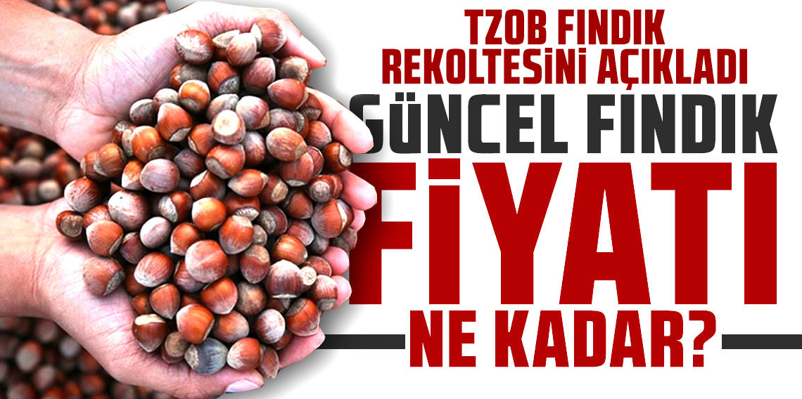 Fındık fiyatlarında son durum ne?