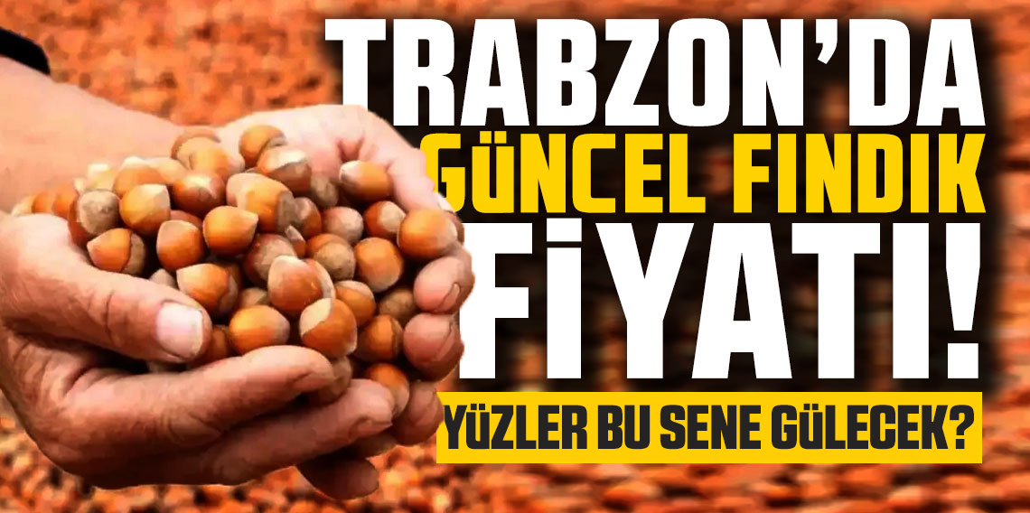 Serbest piyasada fındık fiyatları 300 liraya ulaştı